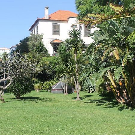 Jasmineiro - Palms Palace Apartment フンシャル エクステリア 写真