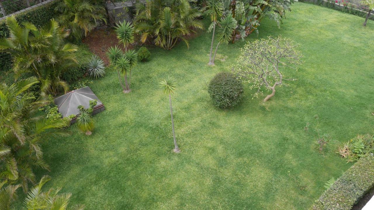 Jasmineiro - Palms Palace Apartment フンシャル エクステリア 写真